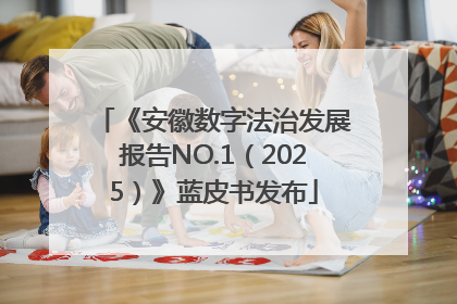 《安徽数字法治发展报告NO.1（2025）》蓝皮书发布