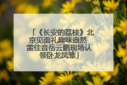 《长安的荔枝》北京见面礼趣味盎然 雷佳音岳云鹏现场认领卧龙凤雏