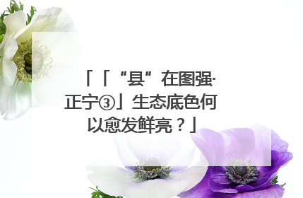 「“县”在图强·正宁③」生态底色何以愈发鲜亮？
