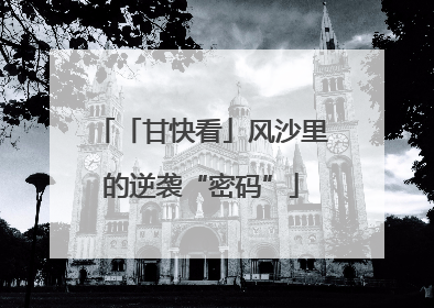 「甘快看」风沙里的逆袭“密码”
