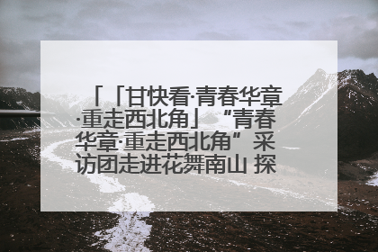 「甘快看·青春华章·重走西北角」“青春华章·重走西北角”采访团走进花舞南山 探寻天水乡村振兴之路
