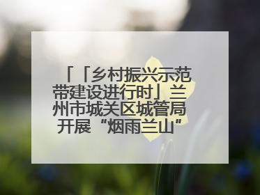 「乡村振兴示范带建设进行时」兰州市城关区城管局开展“烟雨兰山”区域综合整治专项行动