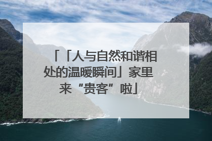 「人与自然和谐相处的温暖瞬间」家里来“贵客”啦