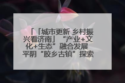 「城市更新 乡村振兴看济南」“产业+文化+生态”融合发展 平阴“胶乡古镇”探索振兴路径成效显著