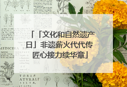 「文化和自然遗产日」非遗薪火代代传 匠心接力续华章