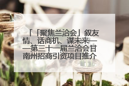 「聚焦兰洽会」叙友情、话商机、谋未来——第三十一届兰洽会甘南州招商引资项目推介会活动侧记