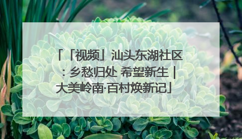 「视频」汕头东湖社区：乡愁归处 希望新生｜大美岭南·百村焕新记