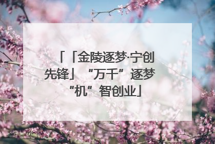 「金陵逐梦·宁创先锋」“万千”逐梦 “机”智创业