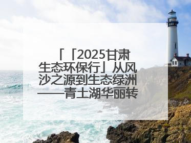「2025甘肃生态环保行」从风沙之源到生态绿洲——青土湖华丽转身书写生态新篇
