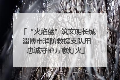 “火焰蓝”筑文明长城 淄博市消防救援支队用忠诚守护万家灯火