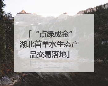 “点绿成金” 湖北首单水生态产品交易落地