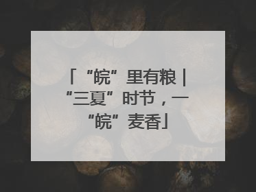 “皖”里有粮｜“三夏”时节，一“皖”麦香