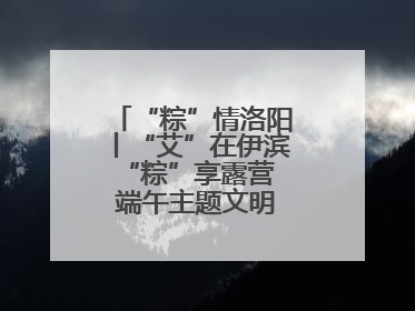“粽”情洛阳丨“艾”在伊滨 “粽”享露营 端午主题文明实践活动启动