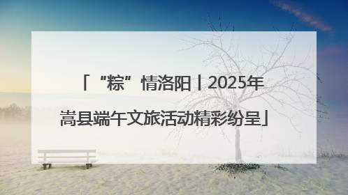“粽”情洛阳丨2025年嵩县端午文旅活动精彩纷呈