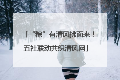 “粽”有清风拂面来！五社联动共织清风网