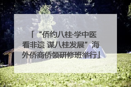 “侨约八桂·学中医 看非遗 谋八桂发展”海外侨商侨领研修班举行