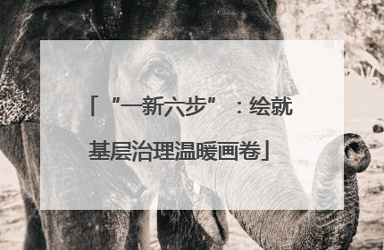 “一新六步”：绘就基层治理温暖画卷