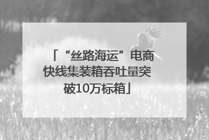 “丝路海运”电商快线集装箱吞吐量突破10万标箱