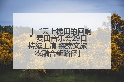 “云上梯田的回响”麦田音乐会29日持续上演 探索文旅农融合新路径