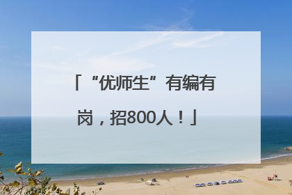 “优师生”有编有岗，招800人！