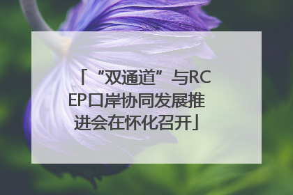 “双通道”与RCEP口岸协同发展推进会在怀化召开