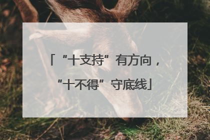 “十支持”有方向，“十不得”守底线