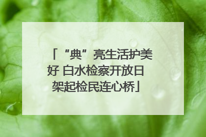 “典”亮生活护美好 白水检察开放日架起检民连心桥