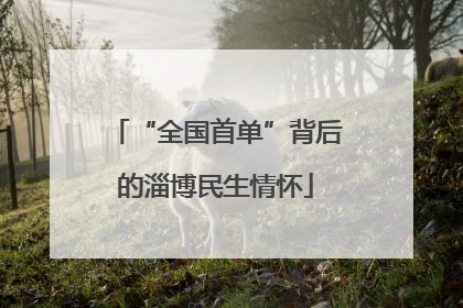 “全国首单”背后的淄博民生情怀