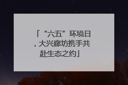 “六五”环境日，大兴廊坊携手共赴生态之约