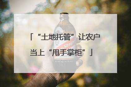“土地托管”让农户当上“甩手掌柜”