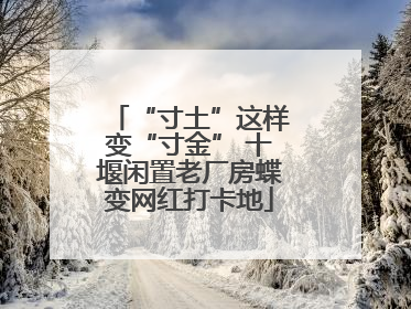 “寸土”这样变“寸金” 十堰闲置老厂房蝶变网红打卡地
