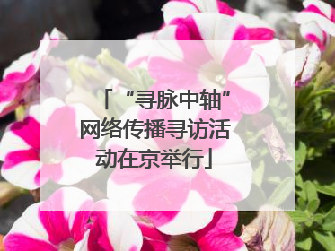 “寻脉中轴”网络传播寻访活动在京举行