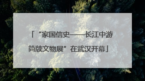 “家国信史——长江中游简牍文物展”在武汉开幕