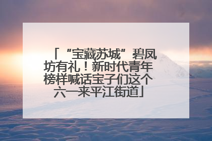 “宝藏苏城”碧凤坊有礼！新时代青年榜样喊话宝子们这个六一来平江街道