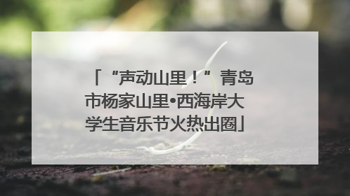 “声动山里！”青岛市杨家山里•西海岸大学生音乐节火热出圈