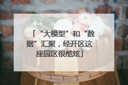 “大模型”和“数据”汇聚，经开区这座园区很酷炫
