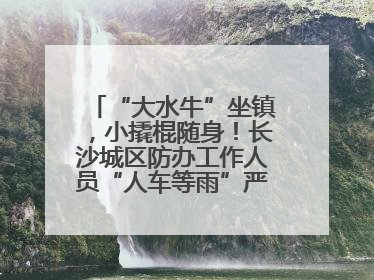 “大水牛”坐镇，小撬棍随身！长沙城区防办工作人员“人车等雨”严阵以待