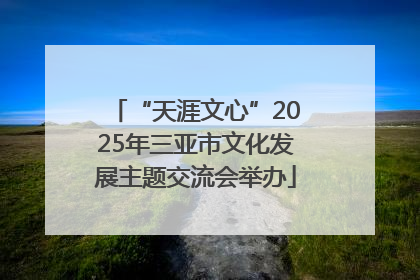 “天涯文心”2025年三亚市文化发展主题交流会举办