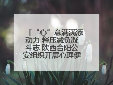 “心”意满满添动力 释压减负凝斗志 陕西合阳公安组织开展心理健康团体辅导活动
