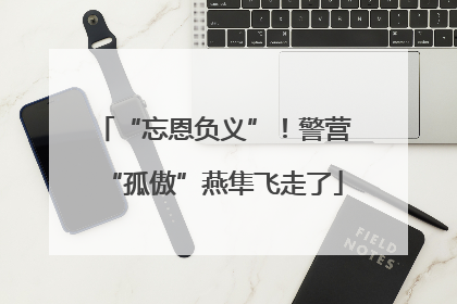 “忘恩负义”！警营“孤傲”燕隼飞走了