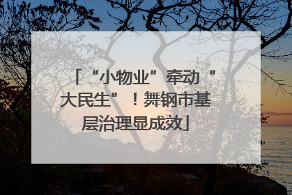 “小物业”牵动“大民生”！舞钢市基层治理显成效