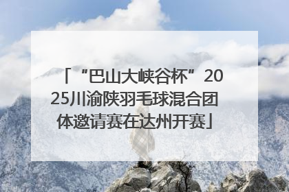 “巴山大峡谷杯”2025川渝陕羽毛球混合团体邀请赛在达州开赛