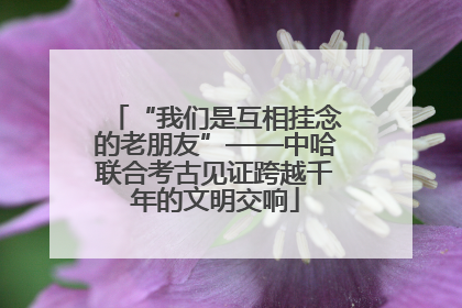 “我们是互相挂念的老朋友”——中哈联合考古见证跨越千年的文明交响