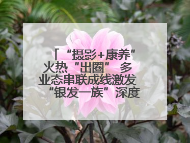 “摄影+康养”火热“出圈” 多业态串联成线激发“银发一族”深度游潜力