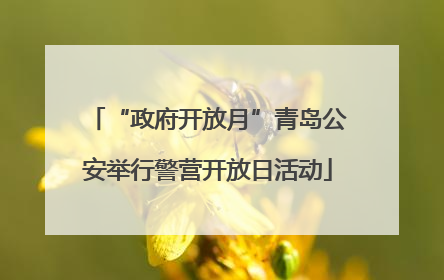 “政府开放月”青岛公安举行警营开放日活动
