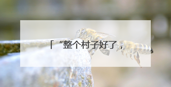 “整个村子好了，大家都能受益”（稳就业·暖心故事）