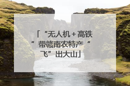 “无人机＋高铁”带赣南农特产“飞”出大山