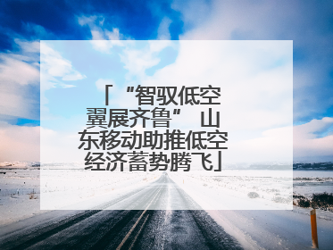 “智驭低空 翼展齐鲁” 山东移动助推低空经济蓄势腾飞