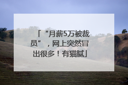 “月薪5万被裁员”，网上突然冒出很多！有猫腻