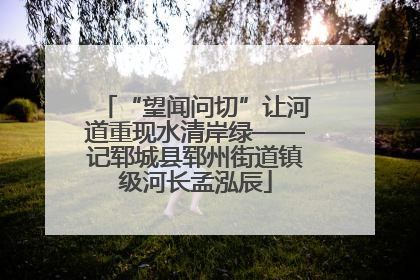 “望闻问切”让河道重现水清岸绿——记郓城县郓州街道镇级河长孟泓辰
